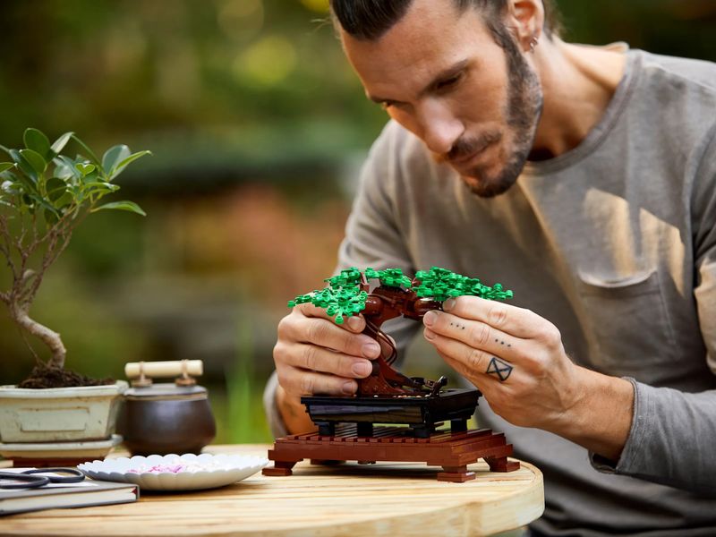 LEGO Конструктор Дерево бонсай Botanical Collection 10281 фото